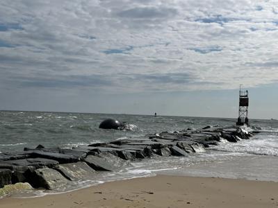 Humpback Whale Washes Away