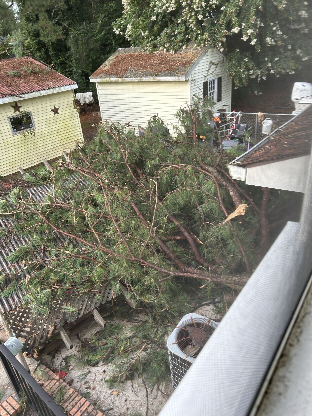 Storm Damage 2