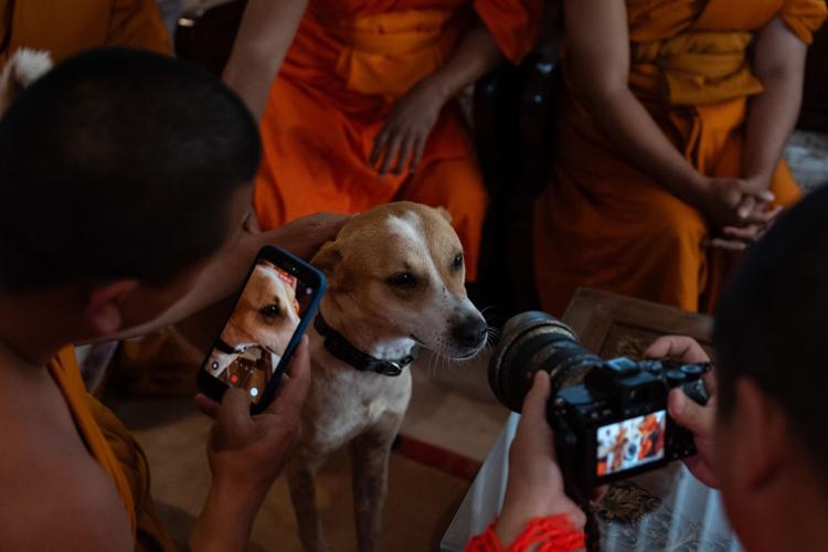 Walk for Peace Buddhist Monk