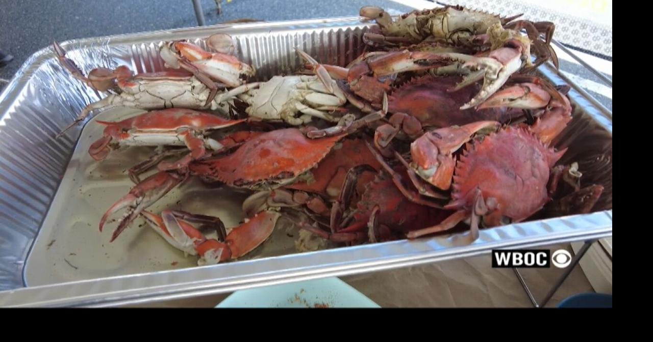 Politics and Seafood Mix at Annual Tawes Crab and Clam Bake in