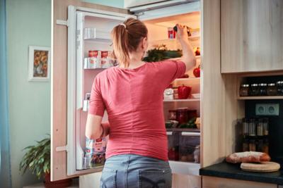 All Temp Highlights Continued Focus On Refrigerator Repair Services