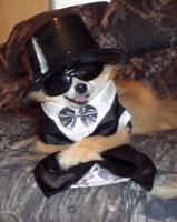 Tammy Massey, Seaford, DE