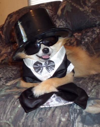 Tammy Massey, Seaford, DE