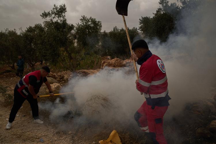 Photos show Israeli settler attacks disrupting the West Bank olive harvest