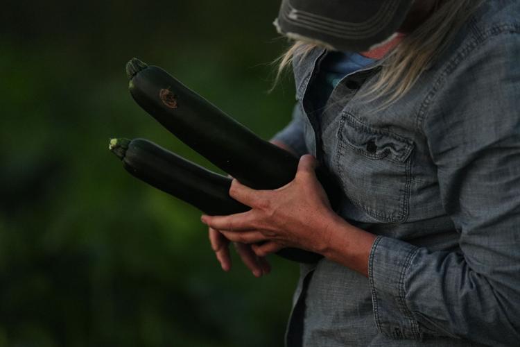 Climate Heat Specialty Crop Farms
