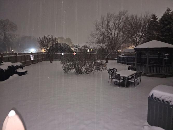 Margaret Lazzaro Preston.jpg