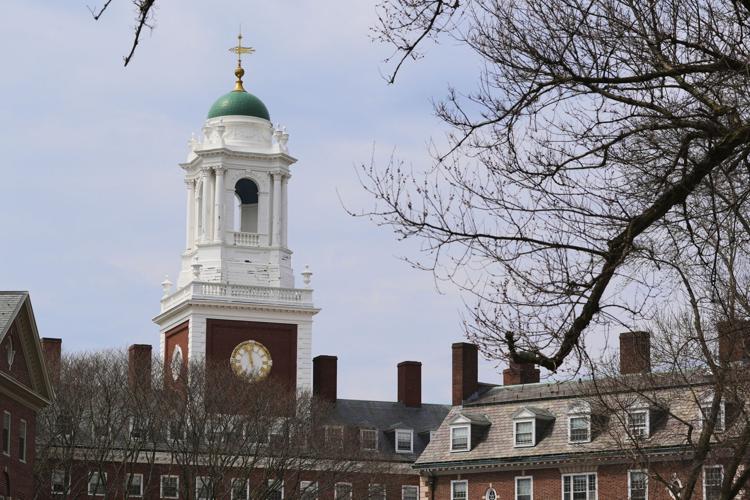 Trump Harvard