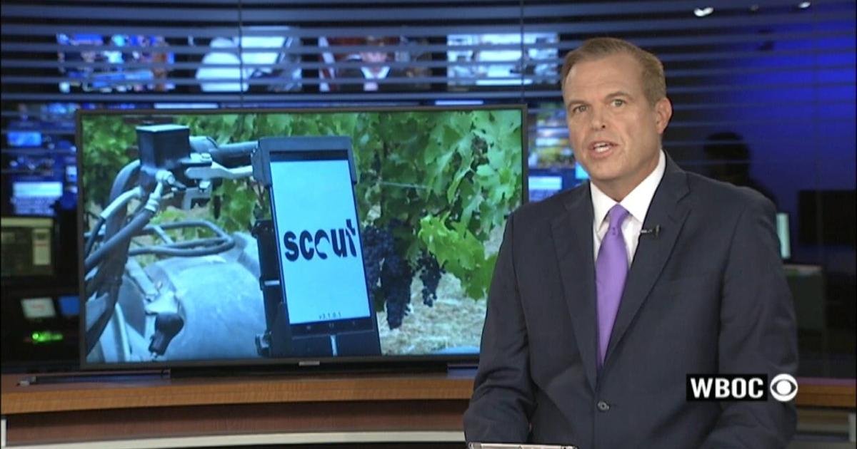 AI in the wine industry