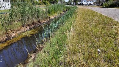 Drainage Ditch
