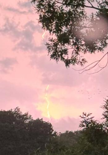 Salisbury lightning
