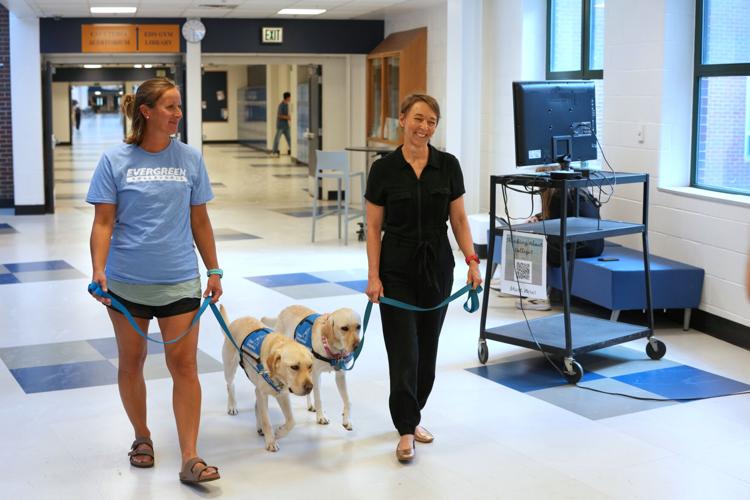 Trauma Dogs School Shooting