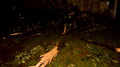 Storm damage galestown