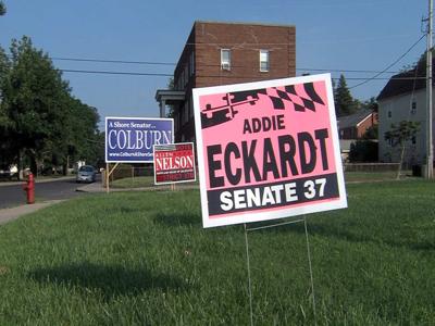 Mid-Shore Legislators Square off for Primary Race