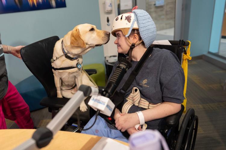 Children's Hospitals Dogs