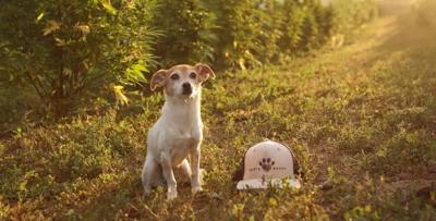Earth Buddy Celebrates Independent Pet Retailers by Making Every Day “Neighborhood Pet Store Day”