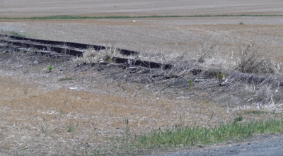 State proposal for Frederick Douglass Rail Trail draws mixed reaction on Midshore