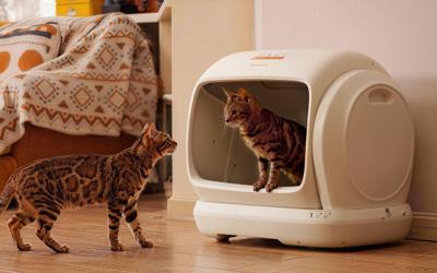 Meowant Introduces Meowant Self-Cleaning Cat Litter Box – MW-SC09