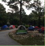 Salisbury Zoo camping adventure