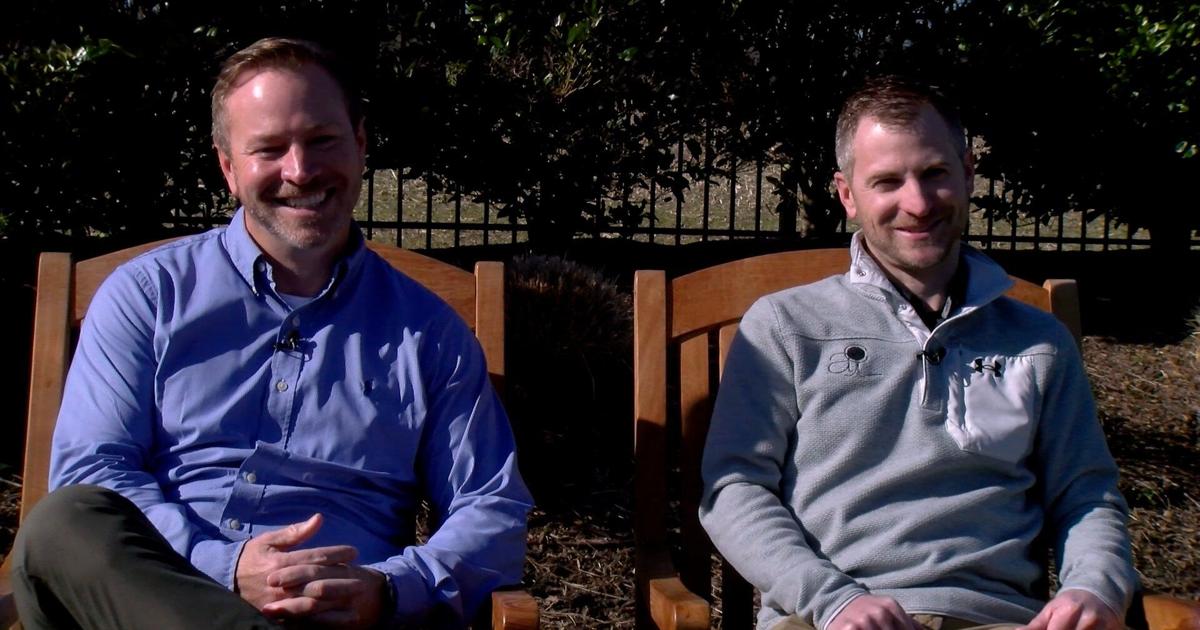 We Give You A Glimpse At What AC Plant & Turf Can Do For You ...