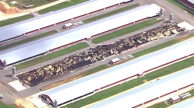 Denton Chicken House Fire