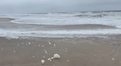 Assateague Island State Park