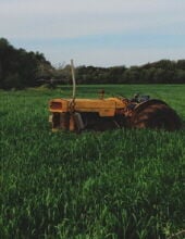 Walter J. Webster.jpg