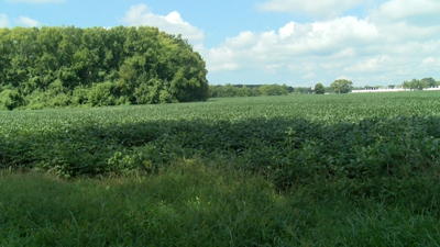 Proposed Somerset County solar project draws differing opinions