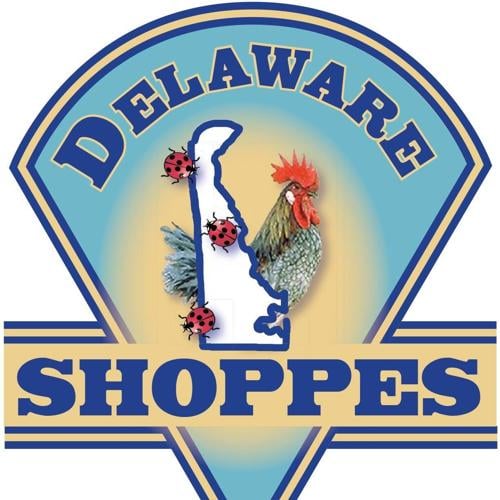 81726493_1658893567586166_1270933118408196096_o