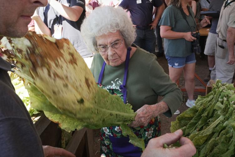 Tobacco Stringing