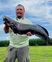 UPDATE: Snakehead Caught in Dorchester County Sets World Record