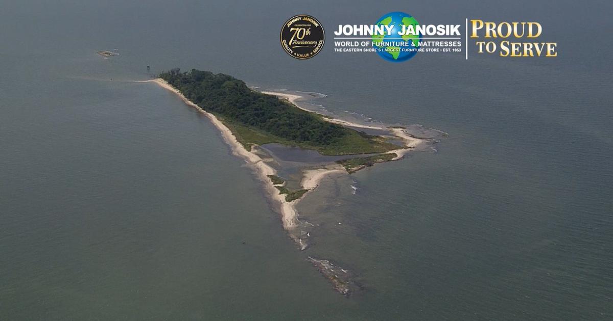 Watts Island Rocks Proud to Serve: Watts Island | Latest News | wboc.com