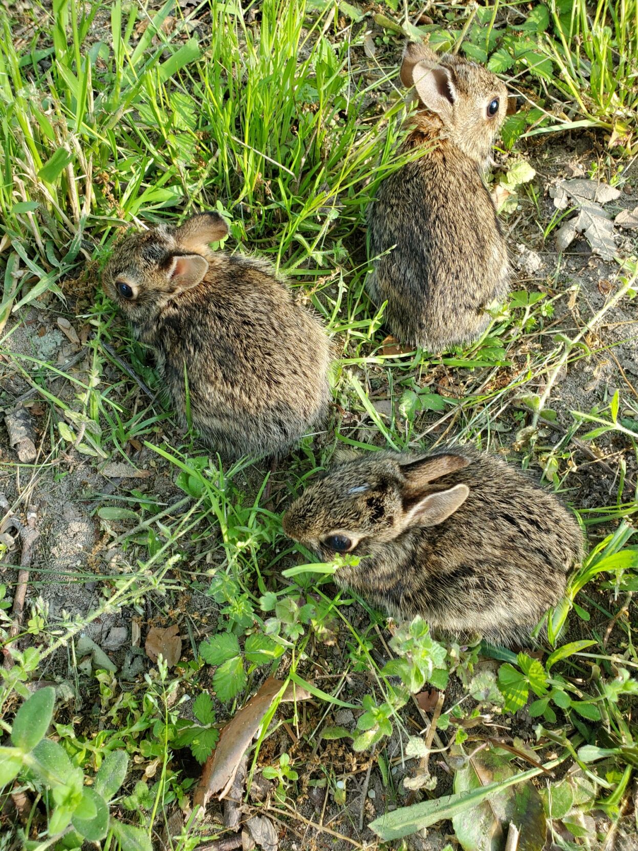 20200516_181421_resized