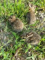 20200516_181421_resized