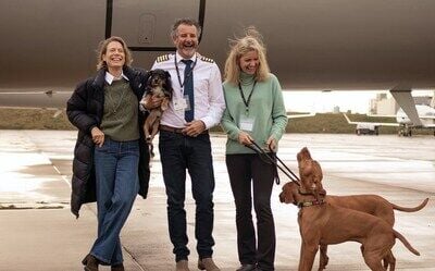 Vicuna Air - A New Model for International Pet Travel 'In Cabin'