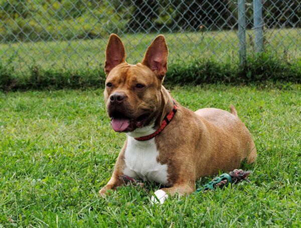 waverly_Fotor-600×454