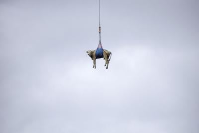 Switzerland-Alpine-Evacuation