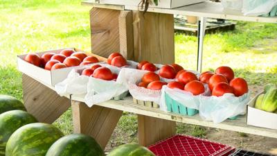 Tomato Tariff