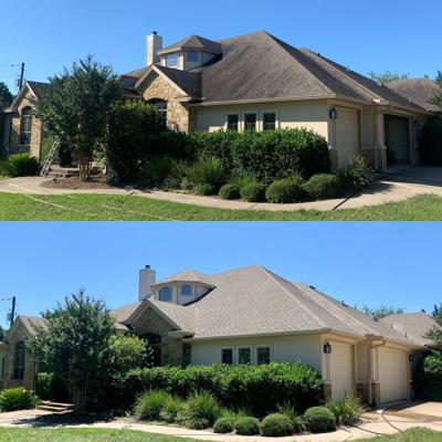 Soft Wash Method Targets Mold and Algae on Austin Homes