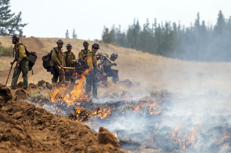 Immigration Border Patrol Firefighters