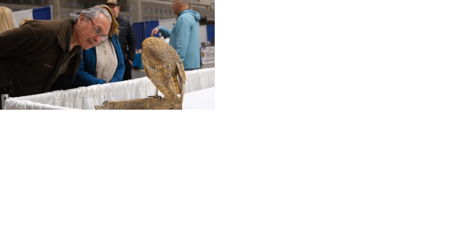 Preserving An Eastern Shore Tradition: The 53rd World Wildfowl Carving Competition - Vimarsana News
