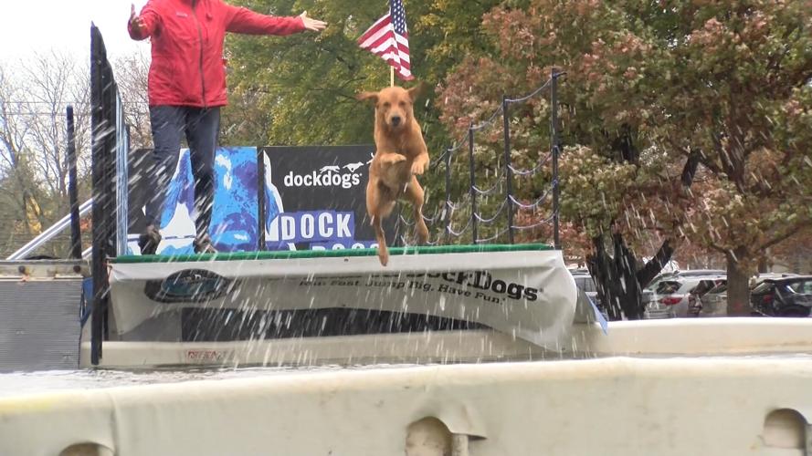 The 51st Waterfowl Festival Is In Easton This Weekend