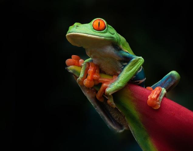 108921751_10158567008369198_6859631815856023668_o