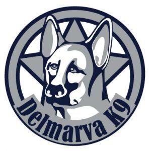 DMV-K9-300×300