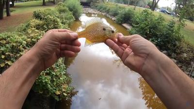Micro fishing