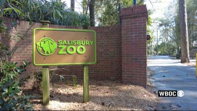 Salisbury Zoo