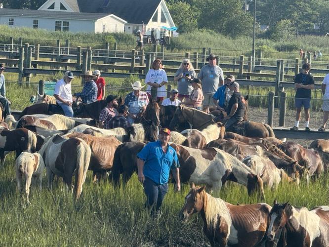 Photo Jul 30 2025, 8 25 46 AM.jpg