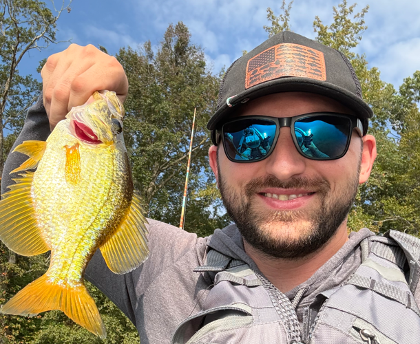 Golden Crappie