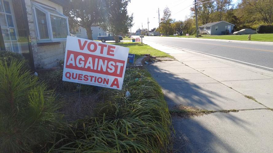 Vote Against Sign
