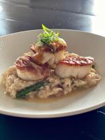 Sea Scallops