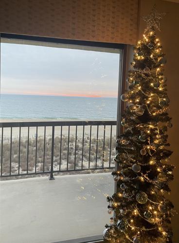 Katleen Prendergast's tree.